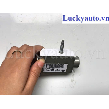 Van tiết lưu xe BMW 525i_ 64116964286 - 64 11 6 964 286